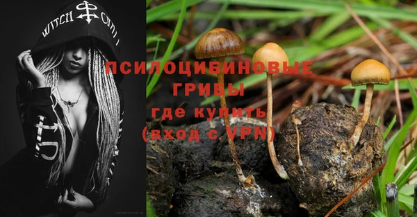 дживик Белоозёрский