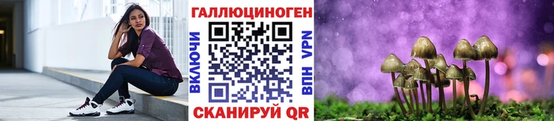 Псилоцибиновые грибы Magic Shrooms закладки Дагестанские Огни